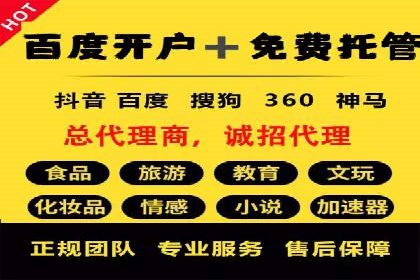 SEM推广公司案例分享：电商品牌崛起之路